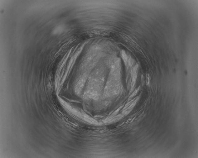X0000068850915200605261701