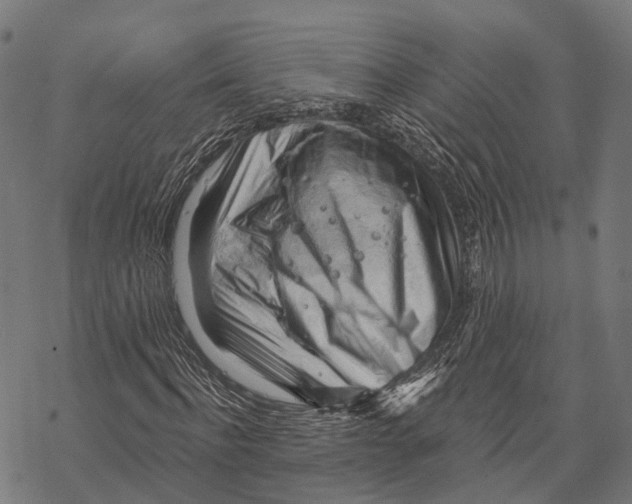 X0000068850916200605261701