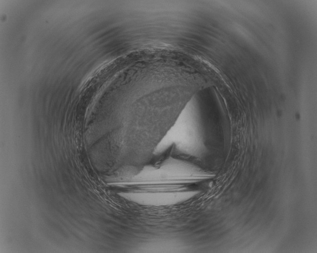 X0000068850919200605261701