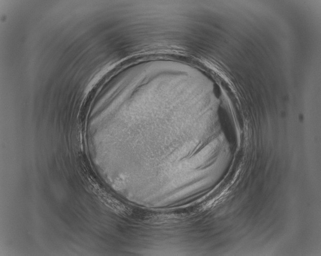 X0000068850925200605261702