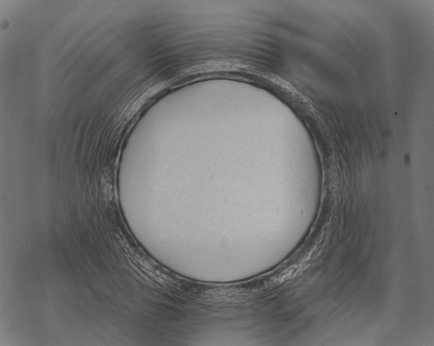 X0000068850929200605261702