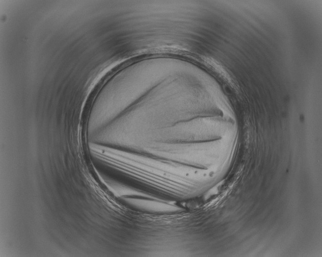 X0000068850932200605261702