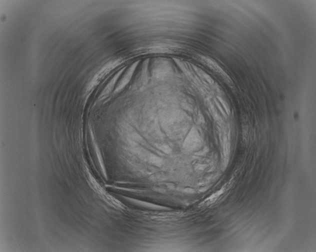X0000068850938200605261702