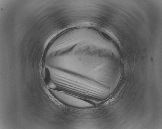 X0000068850944200605261702