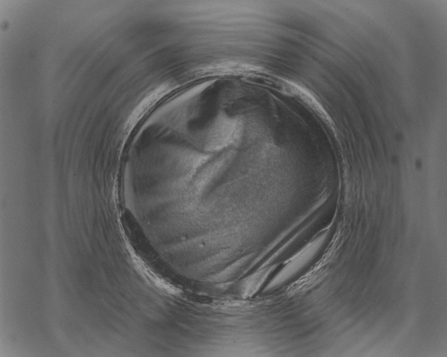 X0000068850946200605261702