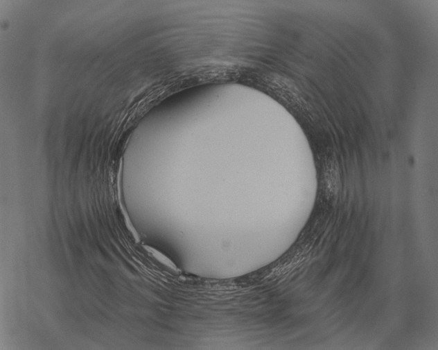 X0000068850964200605261701