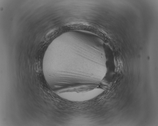 X0000068850965200605261701