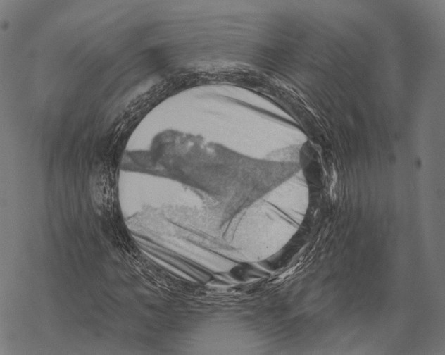 X0000068850966200605261701