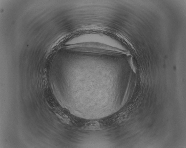 X0000068850968200605261701