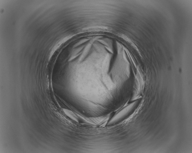 X0000068850973200605261701
