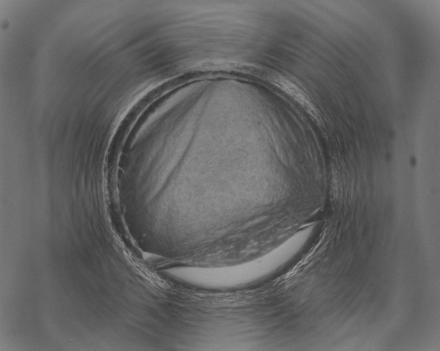 X0000068850976200605261701