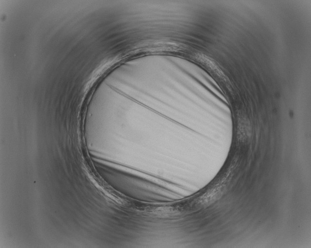 X0000068850986200605261701