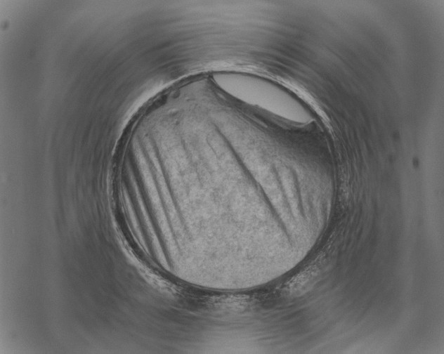 X0000068850991200605261701