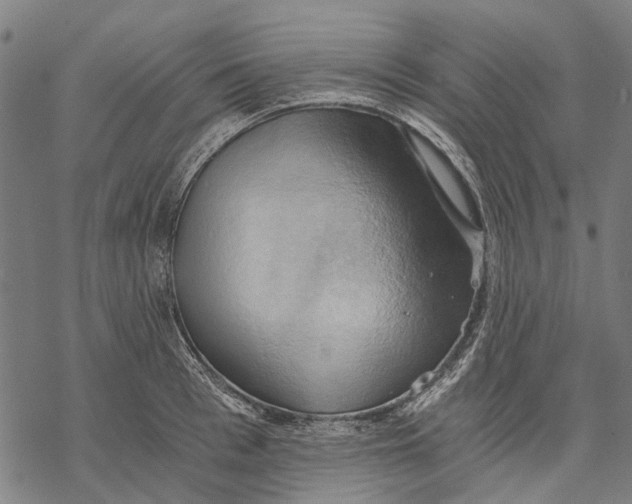 X0000068850993200605261701