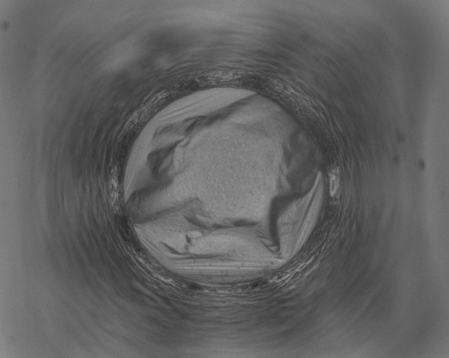 X0000068851011200605261700