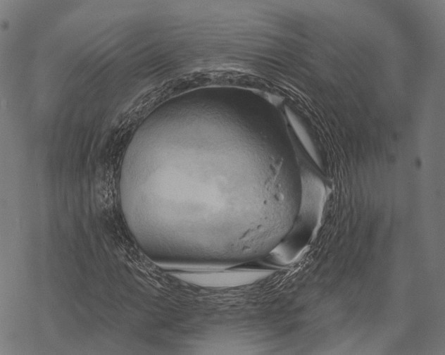 X0000068851014200605261700