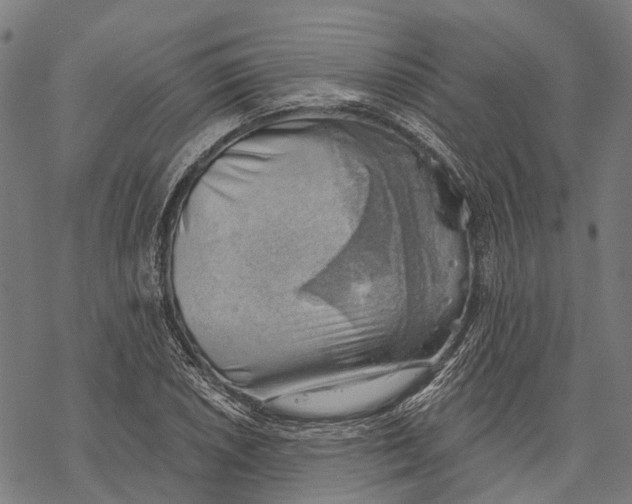 X0000068851026200605261700