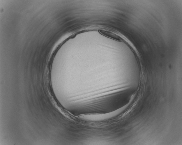 X0000068851053200605261700