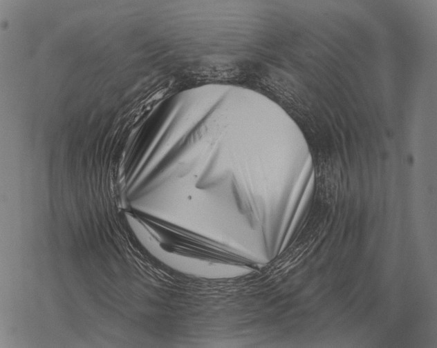 X0000068851058200605261700