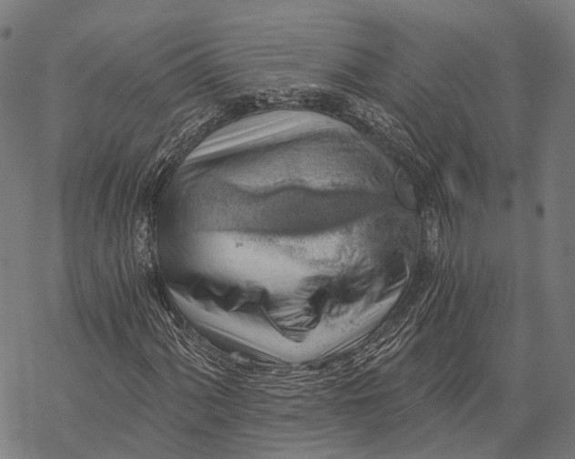X0000068851060200605261700
