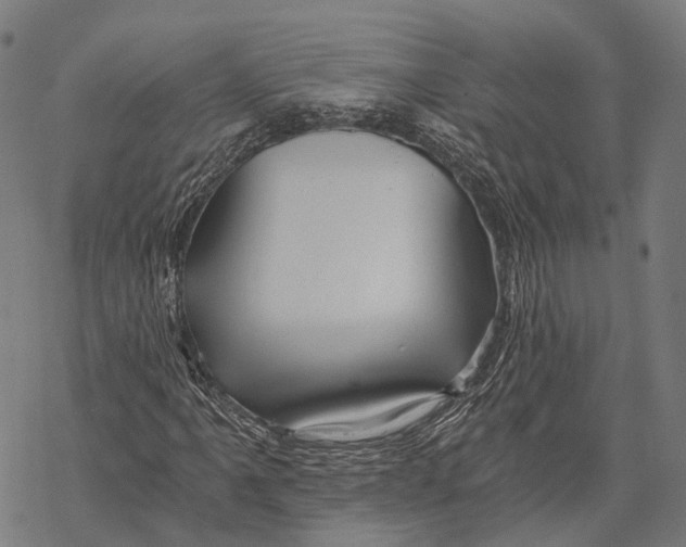 X0000068851061200605261700