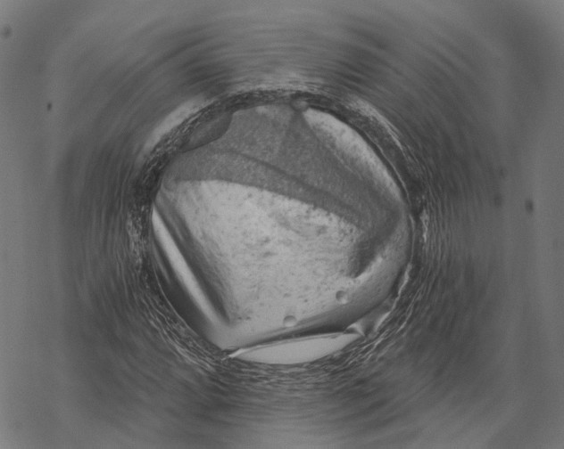 X0000068851064200605261700