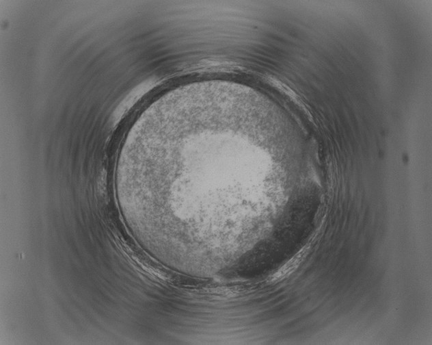 X0000068851066200605261700