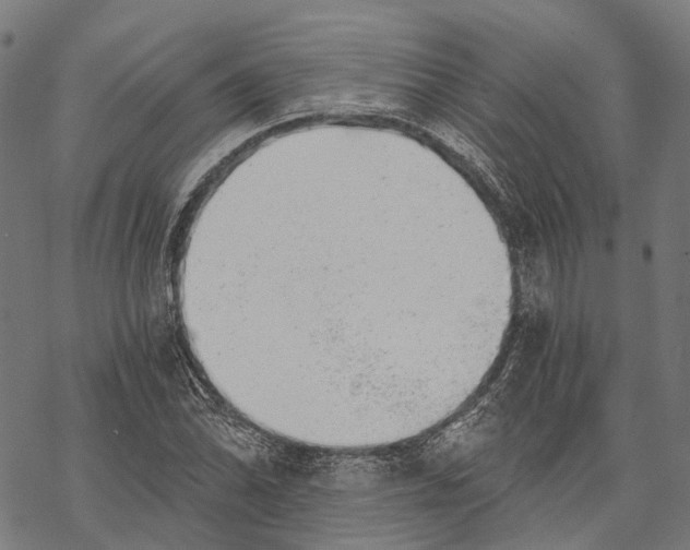 X0000068851070200605261700