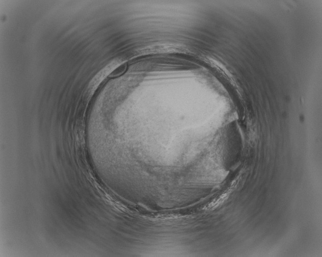 X0000068851081200605261659