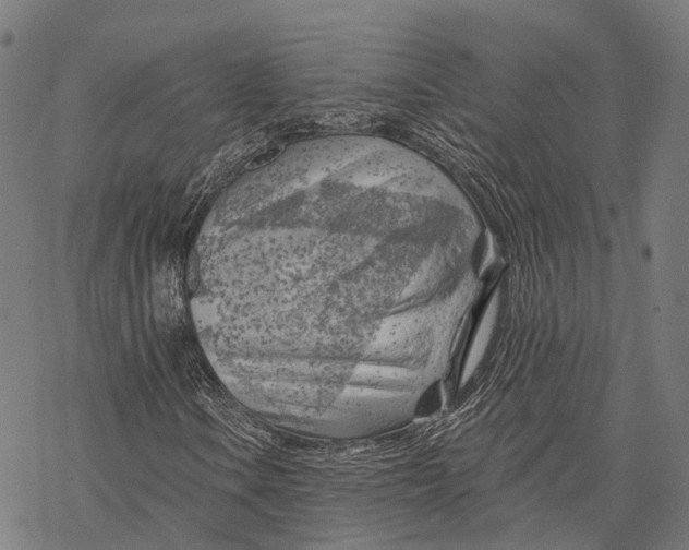 X0000068851106200605261658