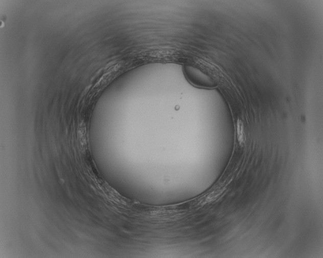 X0000068851107200605261658