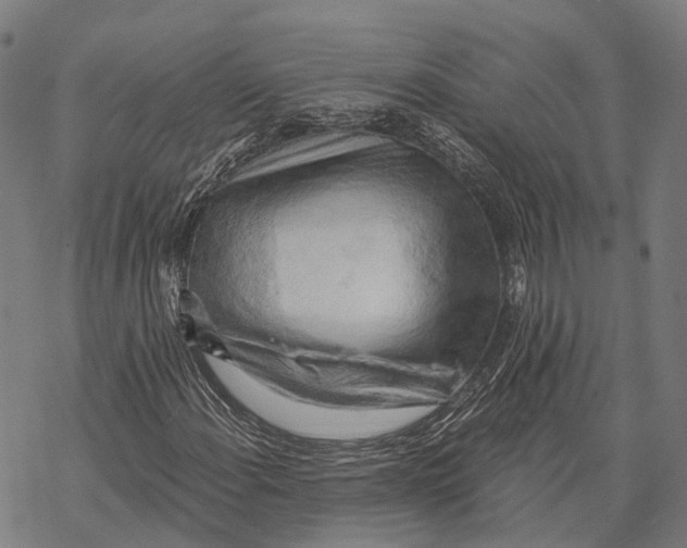 X0000068851108200605261658