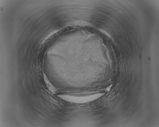 X0000068851112200605261658