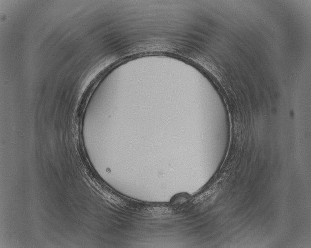 X0000068851119200605261658