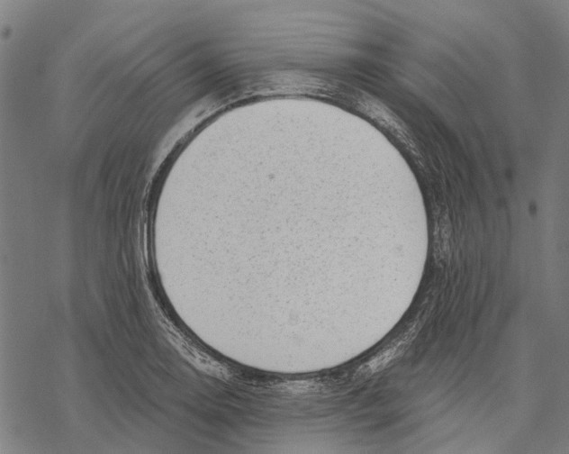X0000068851130200605261659