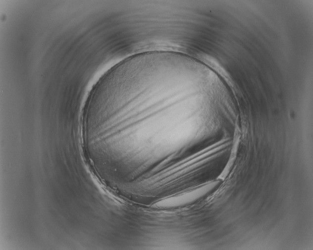 X0000068851144200605261659