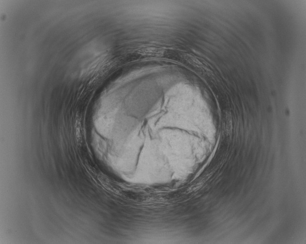 X0000068851154200605261658