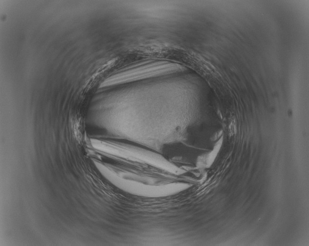 X0000068851156200605261658