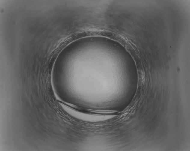 X0000068851157200605261658
