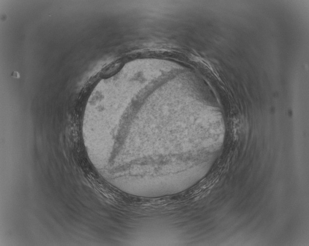 X0000068851159200605261658