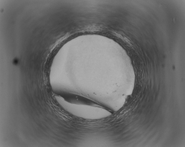 X0000068851160200605261658