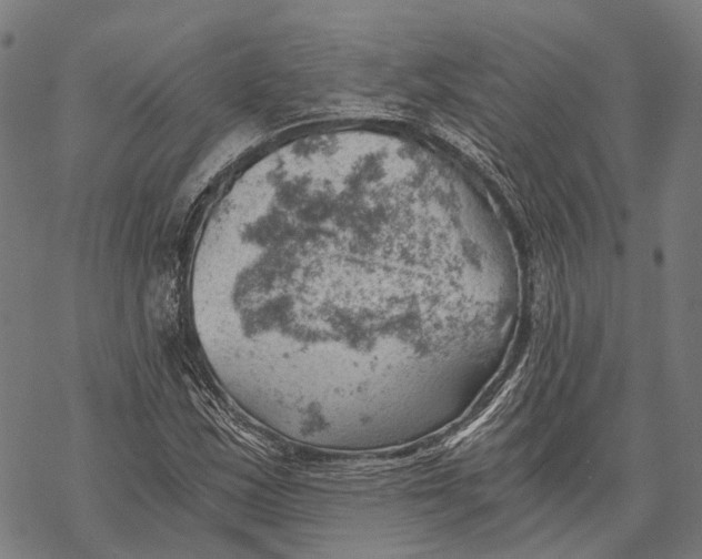 X0000068851163200605261658