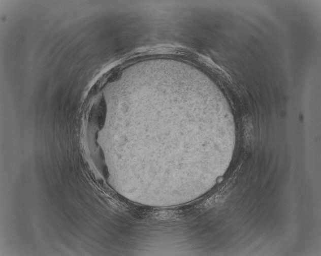 X0000068851166200605261658