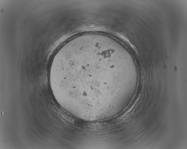 X0000068851167200605261658