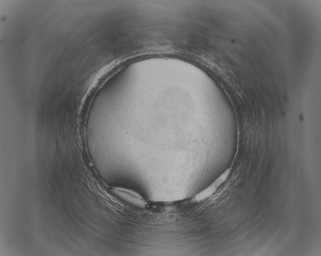 X0000068851168200605261658