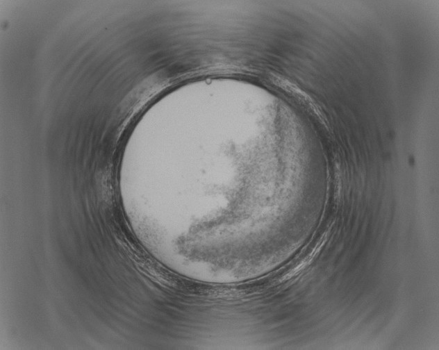 X0000068851170200605261658