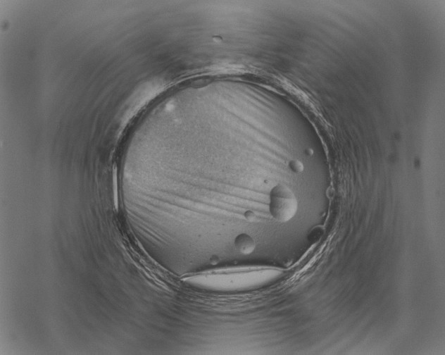 X0000068851171200605261658