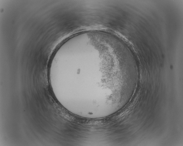 X0000068851174200605261658