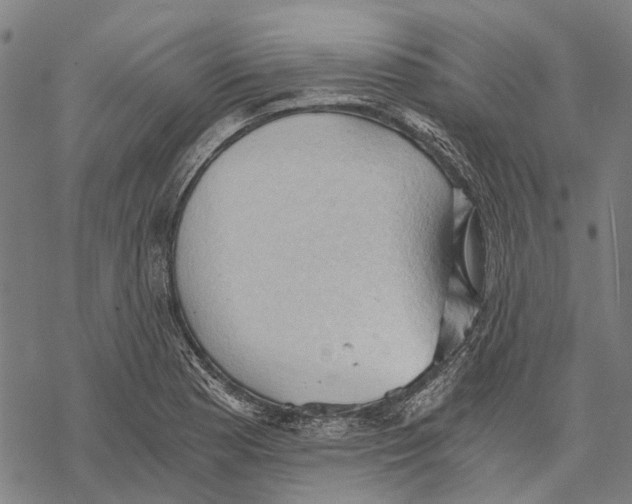 X0000068851177200605261658