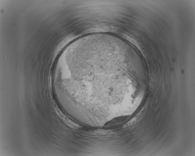 X0000068851179200605261658